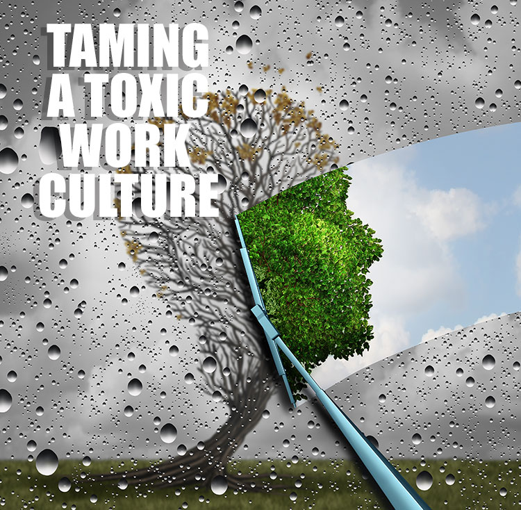 article-Phaceology-toxic-culture